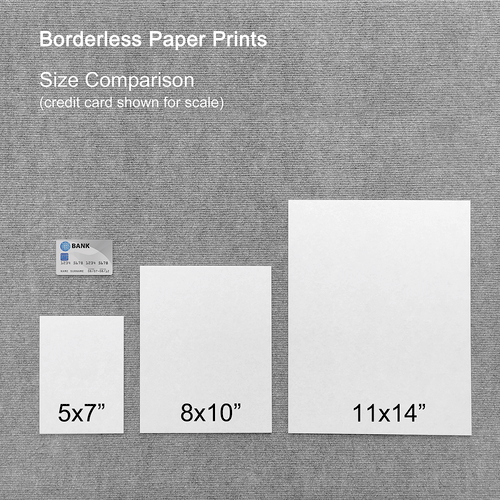 3014 Borderless Print - Drip Landscape, Human 5