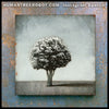 IG-0010 - Instagram Special - Original Oil Painting - 24x24 Inch "Shadow Tree"