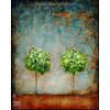 0040 Borderless Print - Tree Duo