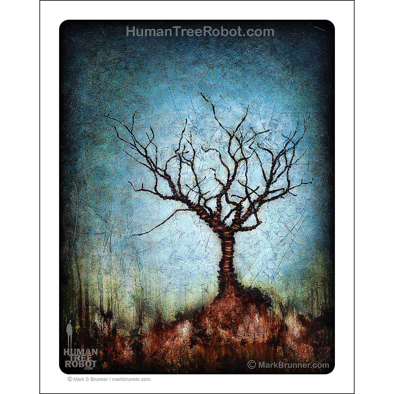 0003 Matte Paper Print 8x10" - Drip Landscape - Dormant Tree 2