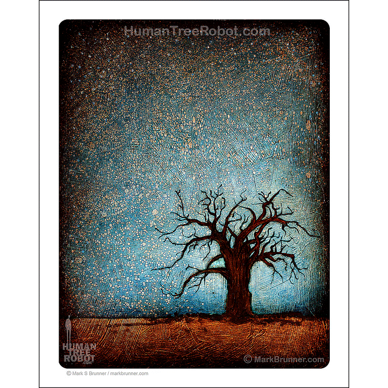 0016 Matte Paper Print 8x10" - Baobab Stars