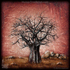 0018 Wood Panel Square - Baobab Red
