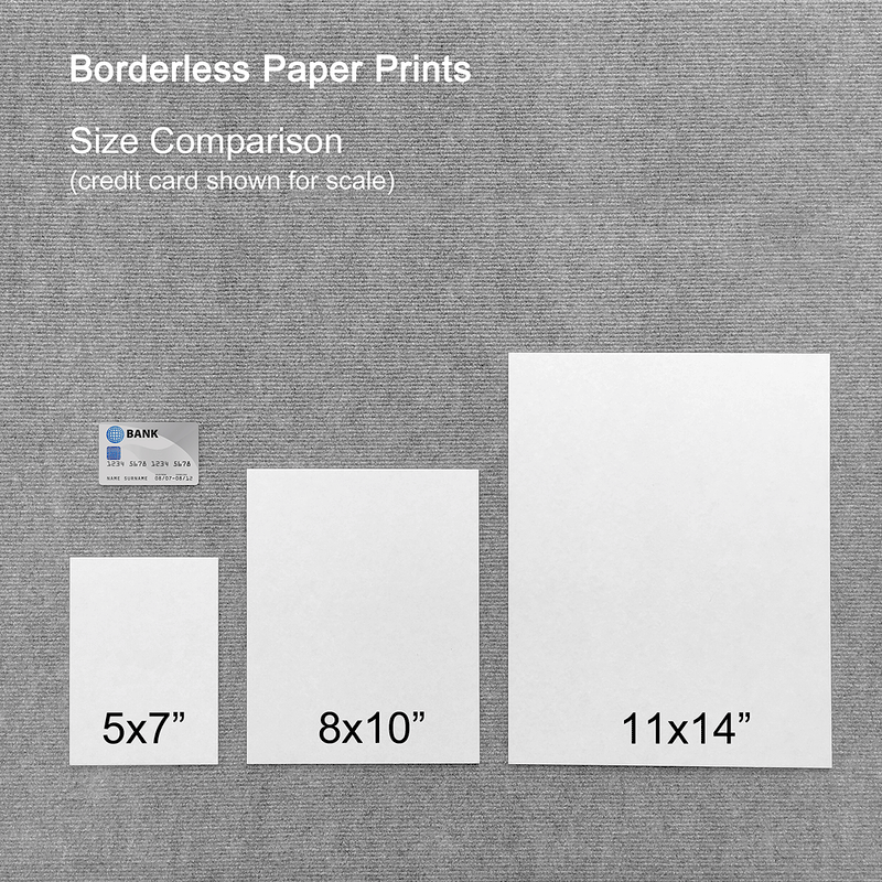 0008 Borderless Print - Duo Dormant Trees