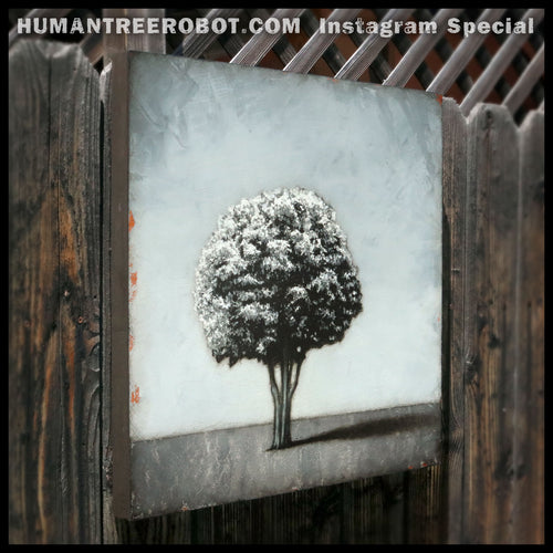 IG-0010 - Instagram Special - Original Oil Painting - 24x24 Inch "Shadow Tree"