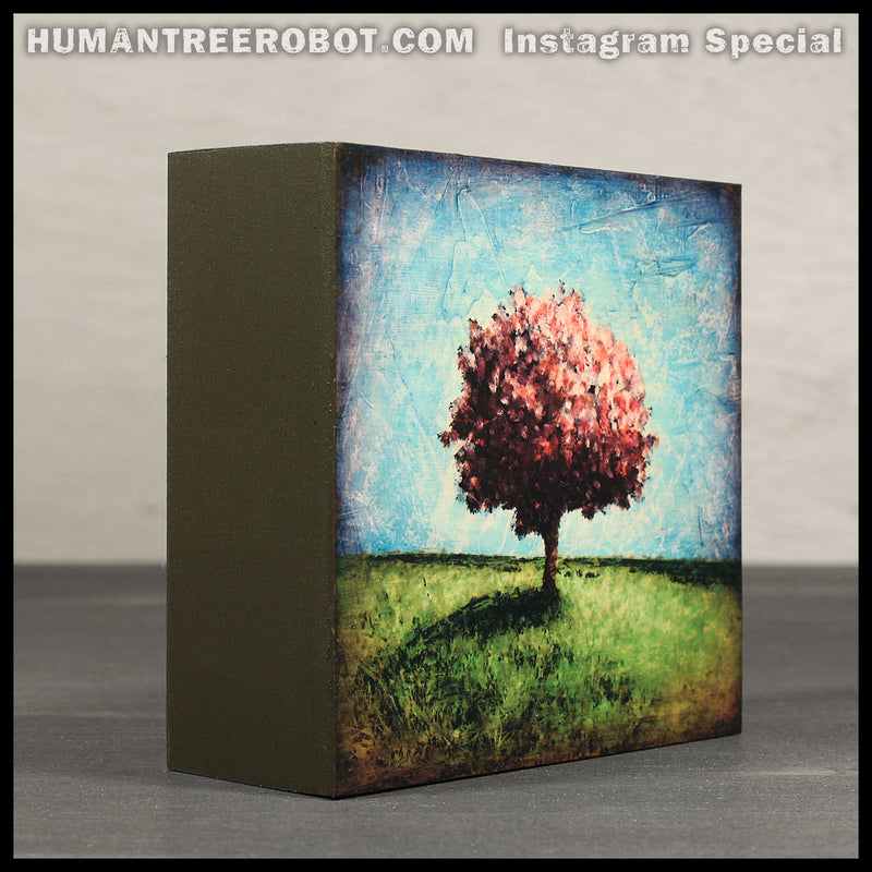 IG-0014 - Instagram Special - 4x4 Wood Panel Print - Hilltop Tree, Rose