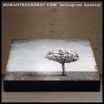 IG-0004 - Instagram Special - Original Painting - "Shadow Tree"