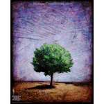 0015 Borderless Print - Hillside Tree Solo