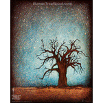 0016 Borderless Print - Baobab Stars