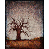 0019 Borderless Print - Baobab Desert