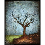 0024 Borderless Print - Dormant Tree 4