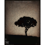 0045 Borderless Print - Night Tree 3
