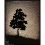 0046 Borderless Print - Night Tree 4