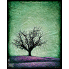 0058 Borderless Print - Dormant Tree on Hill Green