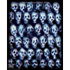 8003 Borderless Print - Skulls - Stacked, Blue