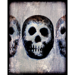 8004 Borderless Print - Skulls - Pale Trio