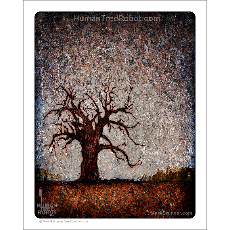 0019 Matte Paper Print 8x10" - Baobab Desert
