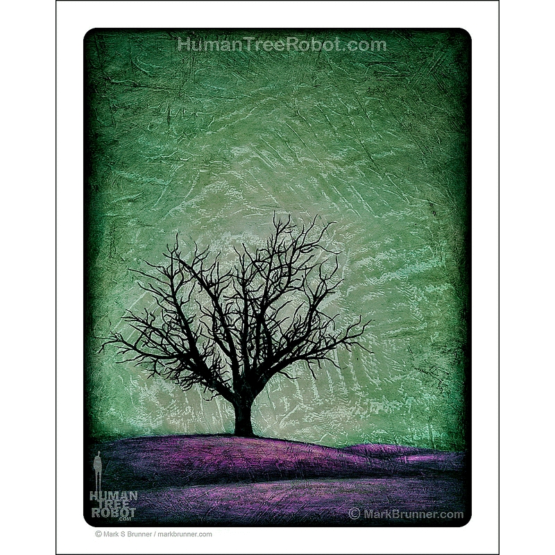 0058 Matte Paper Print 8x10" - Hills Dormant Tree Green