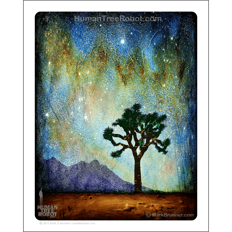 0077 Matte Paper Print 8x10" - Horizon - Desert Joshua Tree 01