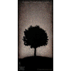0044 Wood Panel Rectangle - Night Tree 2