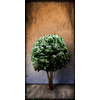 0049 Wood Panel Rectangle - Shadow Tree 3