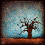 0016 Wood Panel Square - Baobab Starry Skies