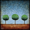 0042 Wood Panel Square - Horizon Tree Triad