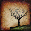 0063 Wood Panel Square - Solo Dormant Tree 4 Yellow