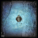 1028 Wood Panel Square - Solo UFO 1 Blue