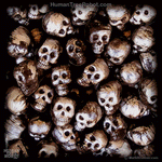 8001 Wood Panel Square - Skulls - Pile 2